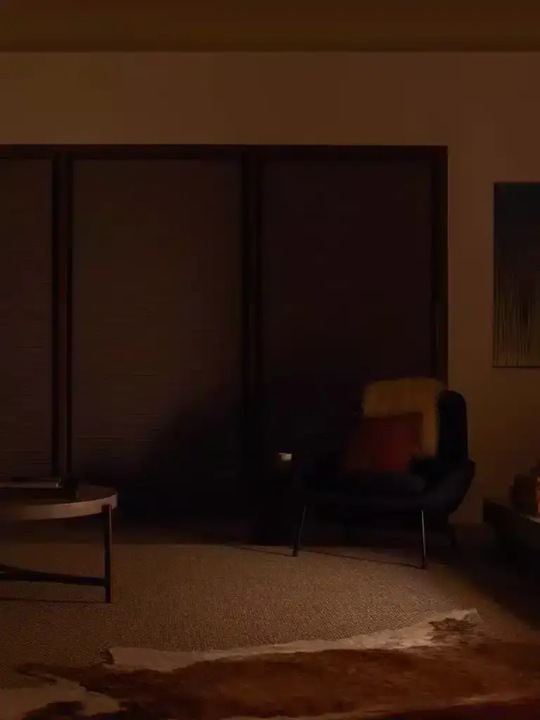 Darkly lit modern living space with a black armchair decorated with fur pillows, dark wooden cabinet doors, a textured area rug, and minimalistic decor creating a warm, inviting atmosphere.