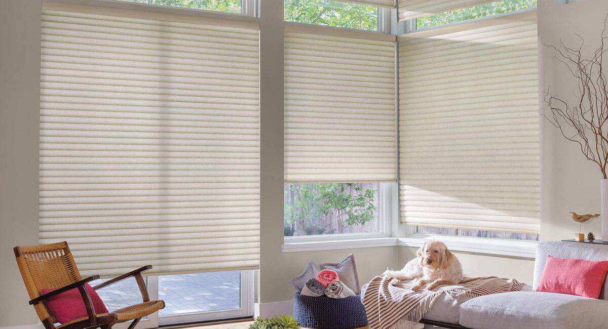 Bright living room with beige window blinds, sunlight streaming in. Dog resting on sofa, decorative pillows, cozy throw blanket, wicker chair, and houseplants create inviting atmosphere.