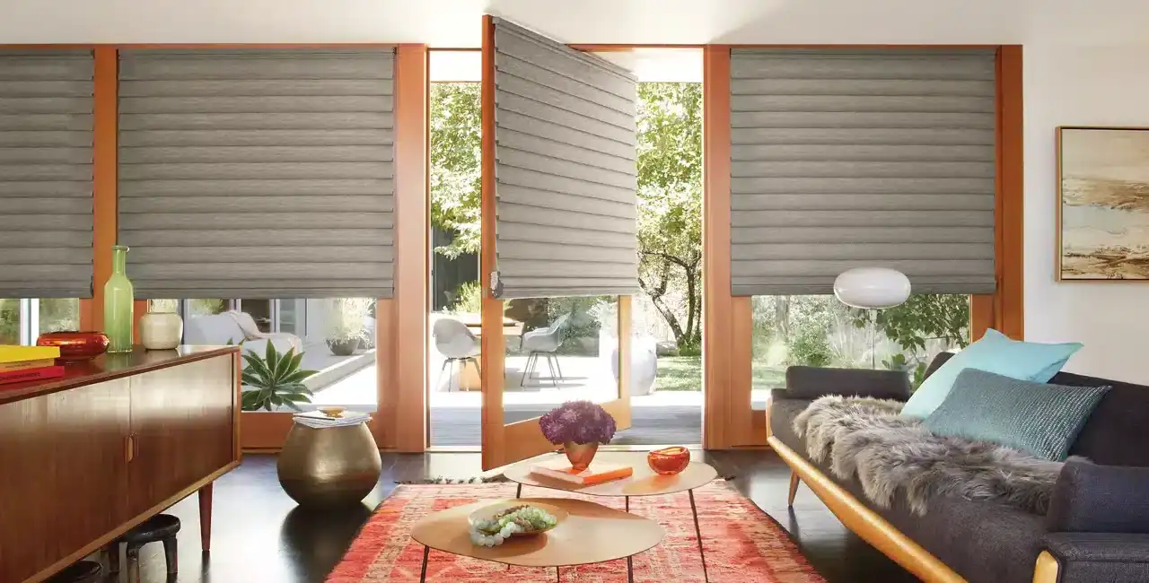Bright living space with large windows, gray roller shades, contemporary furniture, a vibrant area rug, and decorative accents for a cozy yet modern atmosphere.