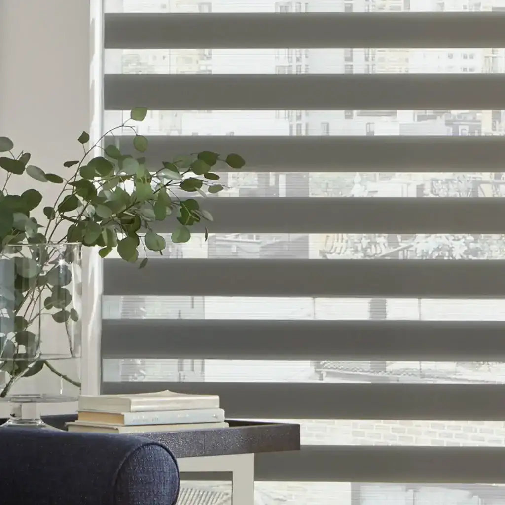 Bright interior with horizontal window blinds and green houseplant.