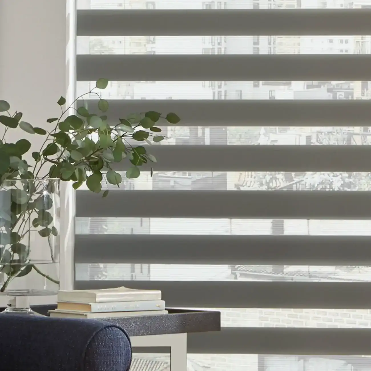 Bright interior with horizontal window blinds and green houseplant.